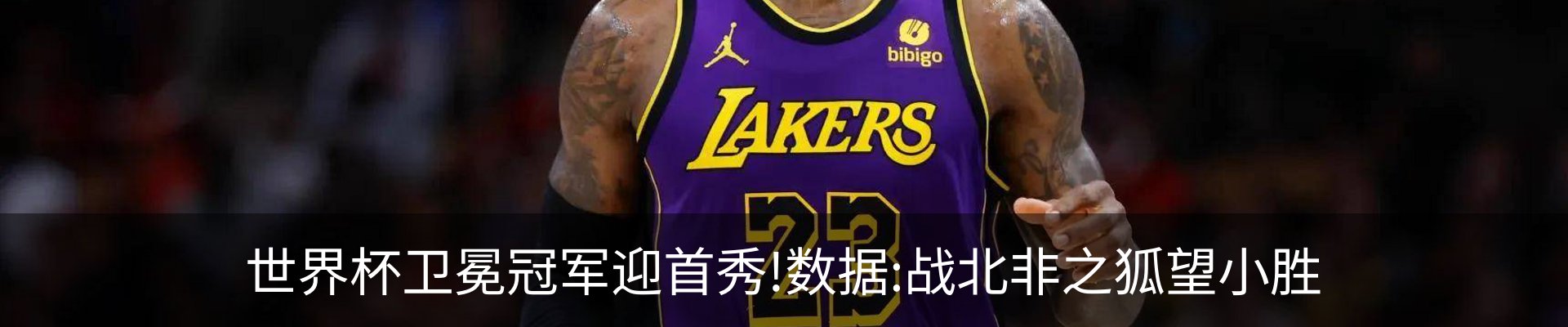 新闻动态